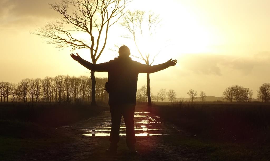 HTF, 2020-01-19, Eef op Noordenveld, weg met twee bomen en zon-1 - kopie