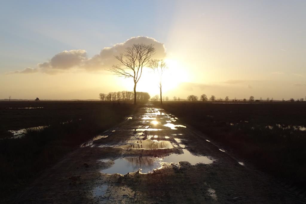 2021-07-25, gulden middenweg