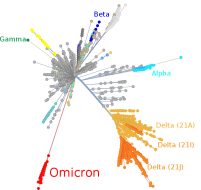 2021-12-20, covidvarianten wikipedia